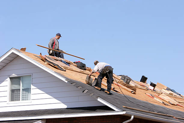 Best Solar Panel Roofing Installation  in Lakewood, CO